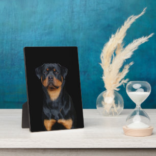 Rottweiler Fotoplatte