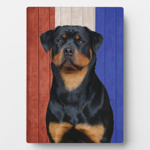Rottweiler Fotoplatte
