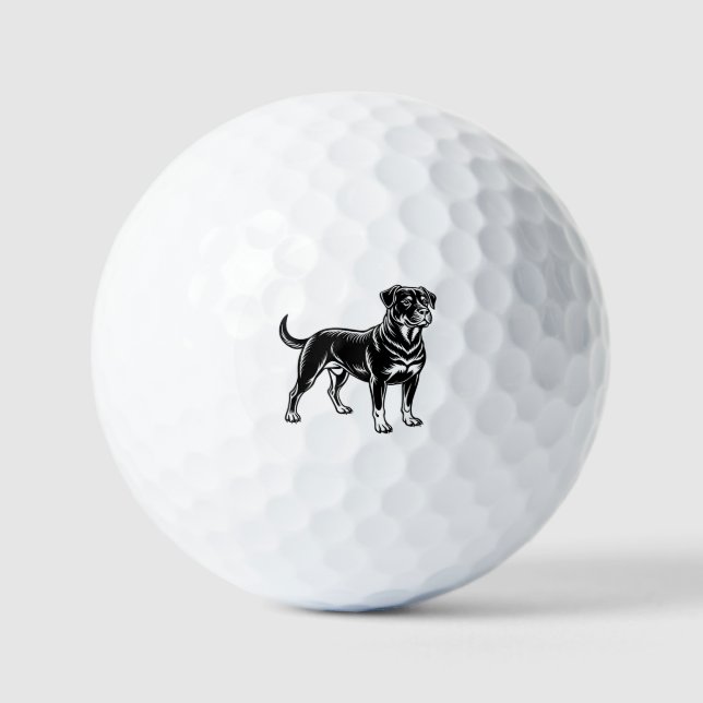 Rottweiler, Ganzkörper Golfball (Vorderseite)