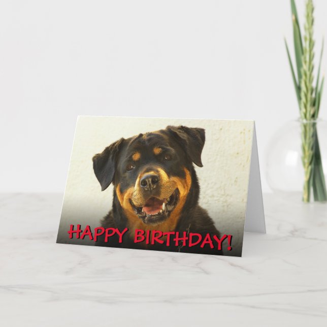 Rottweiler Geburtstagskarte Karte (Vorderseite)