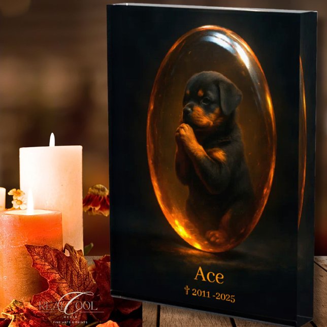 Rottweiler-Gedenkfoto-Block Fotoblock (Von Creator hochgeladen)