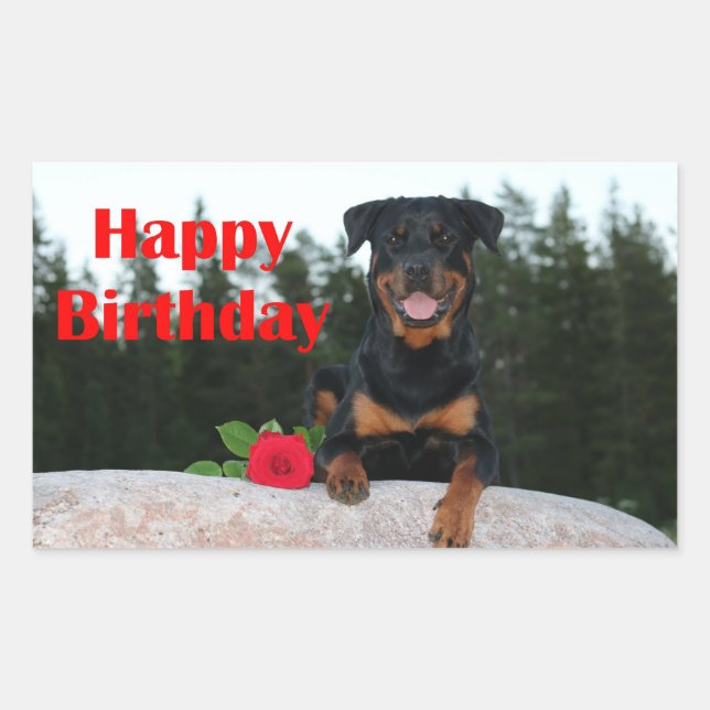 Rottweiler-glücklicher Geburtstag Rechteckiger Aufkleber (Vorderseite)