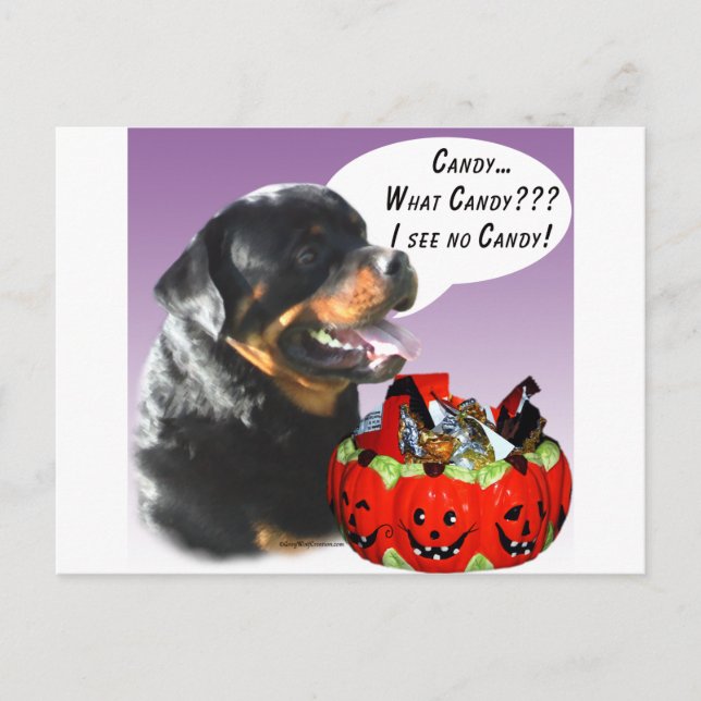 Rottweiler Halloween Candy Postkarte (Vorderseite)
