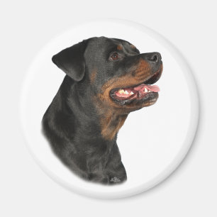 Rottweiler Hauptmagnet Magnet