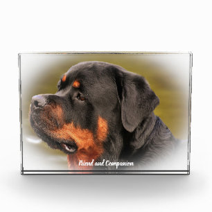 Rottweiler Hund Fotoblock