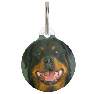 Rottweiler Hund. Haustiermarke
