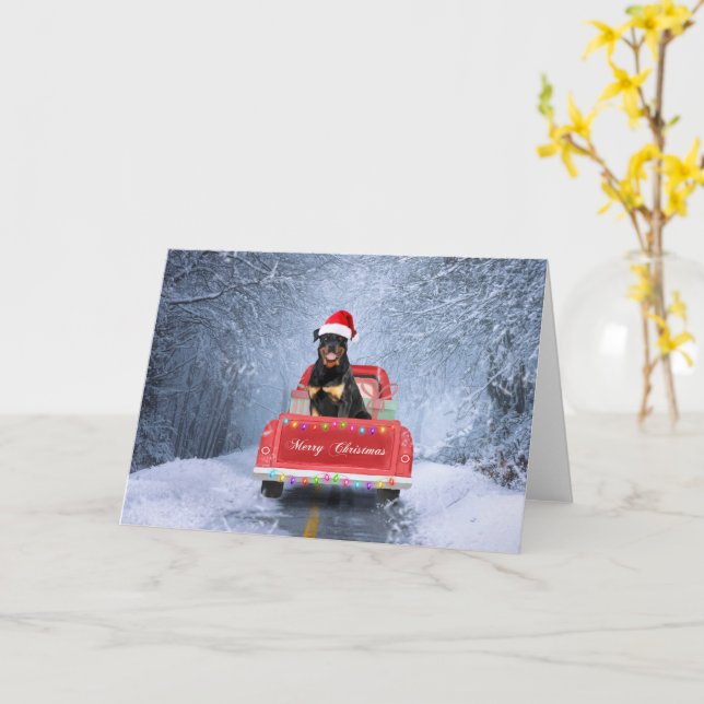 Rottweiler Hund im Schnee sitzend im Weihnachtswag Karte (Gelbe Blume)
