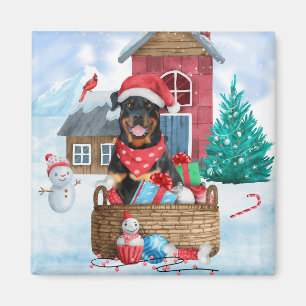 Rottweiler Hund im Schnee Weihnachtshaus Magnet