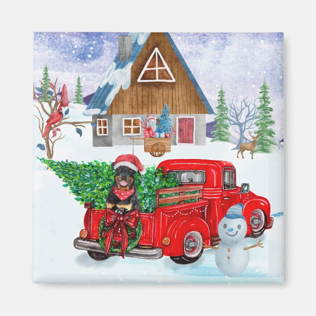 Rottweiler Hund in der Weihnachtslieferung LKW Sch Magnet (Vorne)