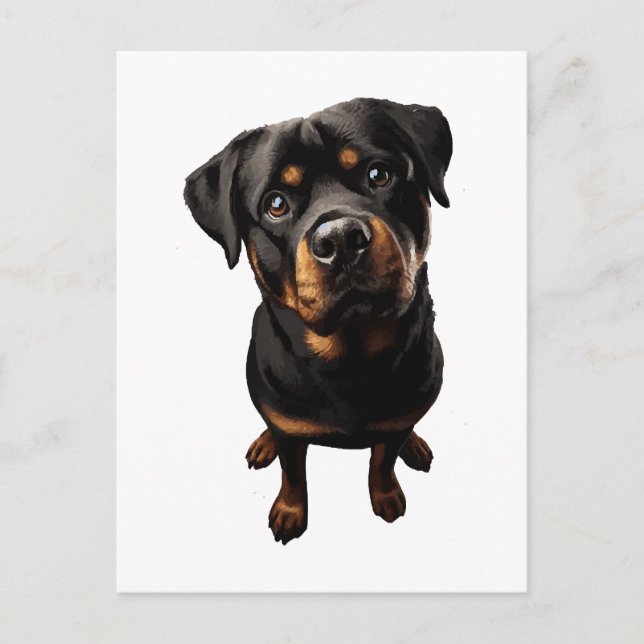 Rottweiler Hund Postkarte (Vorderseite)
