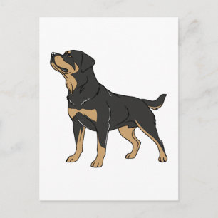 Rottweiler Hund, Rottweiler Hund stehend Postkarte