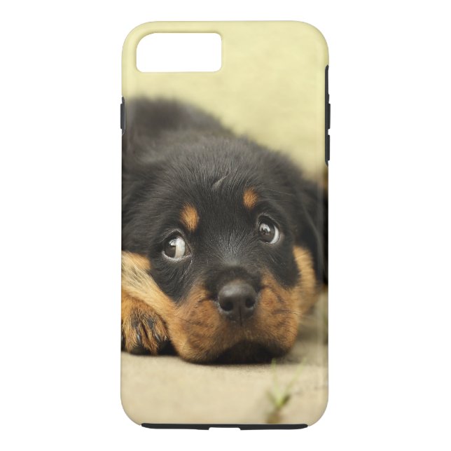 Rottweiler Hündchen neugierig Case-Mate iPhone Hülle (Rückseite)