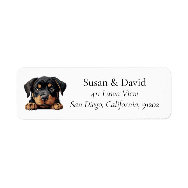 Rottweiler Hunde Rasse Heimtiere Liebhaber (Vorne)