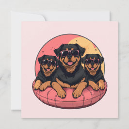 Rottweiler Hunde Sommer Pool Flolows