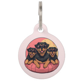 Rottweiler Hunde Sommer Pool Flolows Haustiermarke