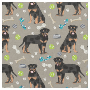 Rottweiler Hunde und Hundespielzeug tauchen Stoff