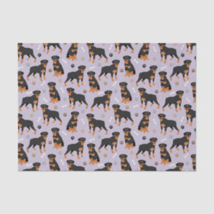 Rottweiler-Hundebeinen und Pfotenpapier Seidenpapier