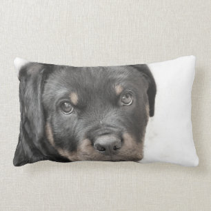 Rottweiler Hundelumbales Wurfskissen Lendenkissen