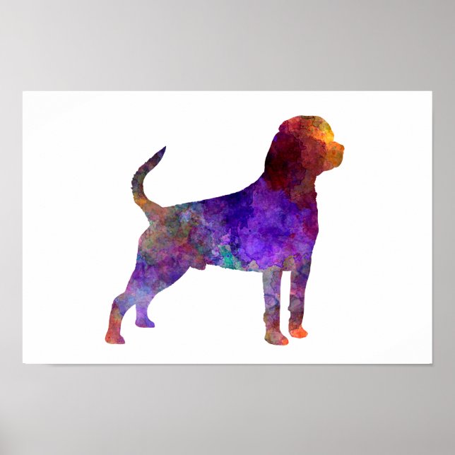 Rottweiler in Aquarellfarbe Poster (Vorne)