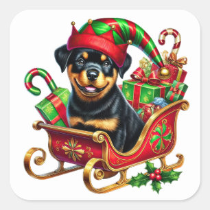 Rottweiler in Weihnachtslieder gefüllt mit Geschen Quadratischer Aufkleber