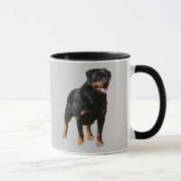 Rottweiler Intelligenz-, loyale und