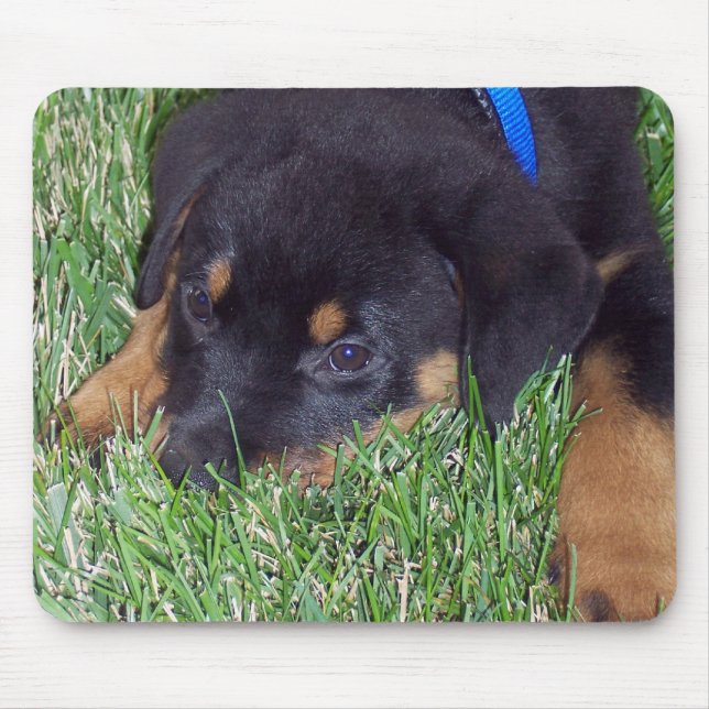 Rottweiler-Jungtier Mousepad (Vorne)