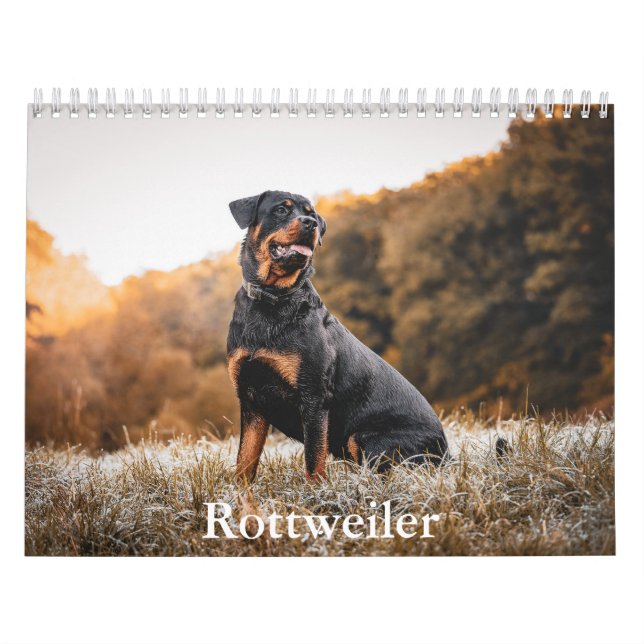 Rottweiler Kalender (Titelbild)