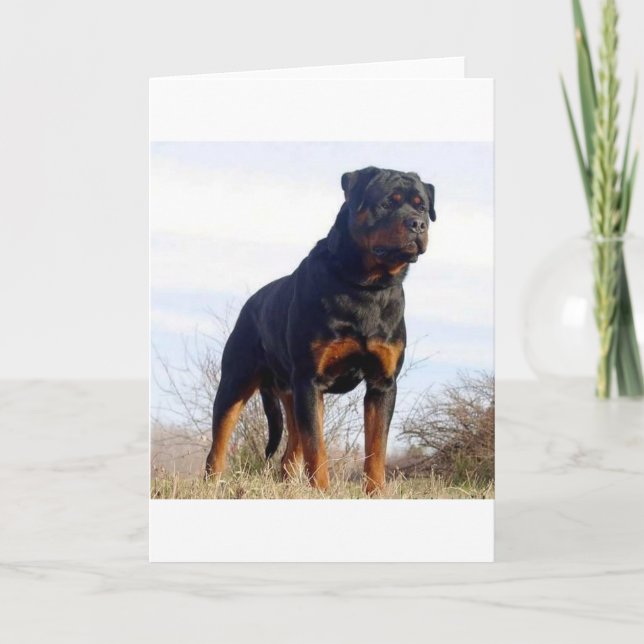 Rottweiler Karte (Vorderseite)