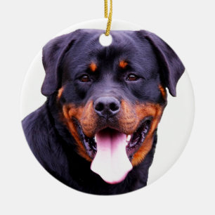 rottweiler keramikornament