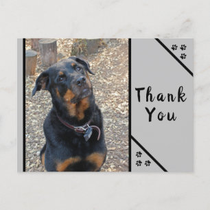 Rottweiler-Kopfneigung Niedlichkeit Danke Postkart Postkarte