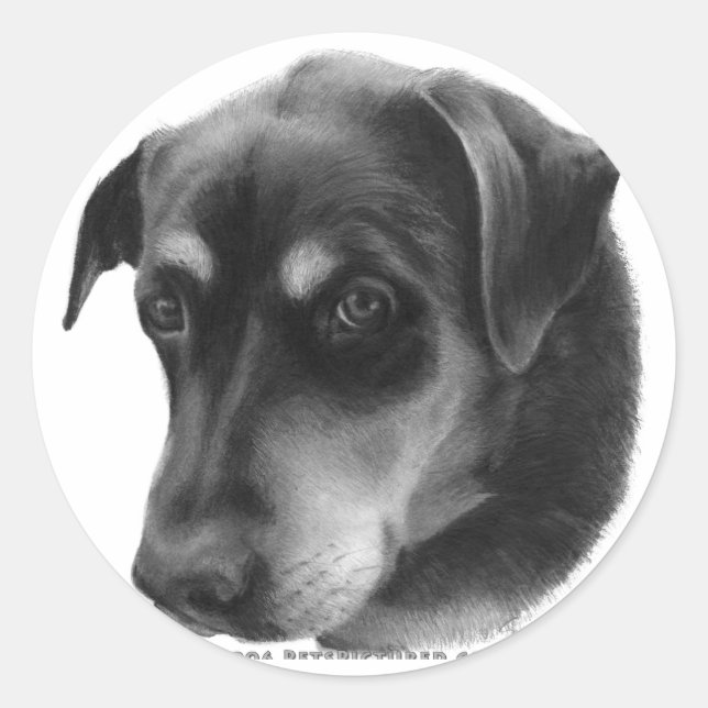 Rottweiler-Labrador Mix Runder Aufkleber (Vorderseite)