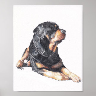 Rottweiler Lay Dog Art Print Poster