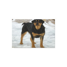 Rottweiler-Leinwanddruck