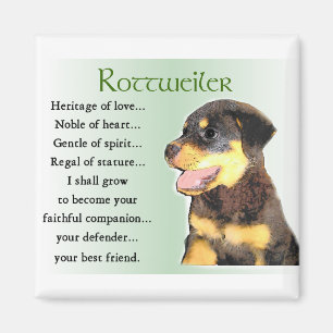 Rottweiler Liebhaber-Geschenke Magnet