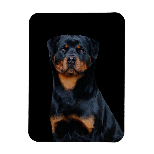 Rottweiler Magnet (Vertikal)