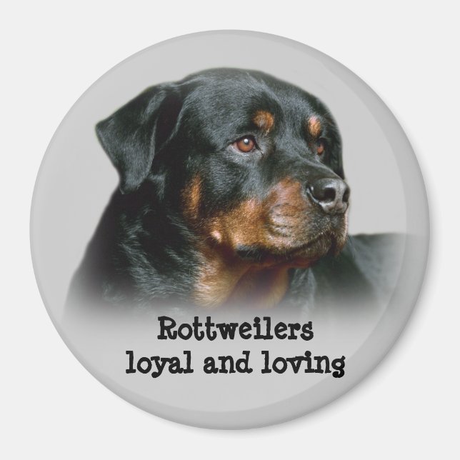 Rottweiler Magnet (Vorne)