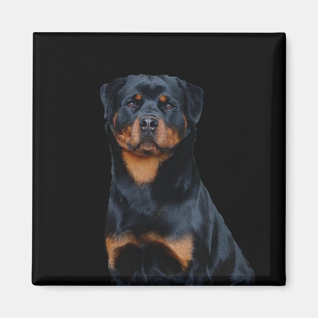 Rottweiler Magnet (Vorne)