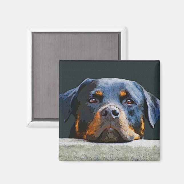 Rottweiler Magnet (Vorderseite/Rückseite)