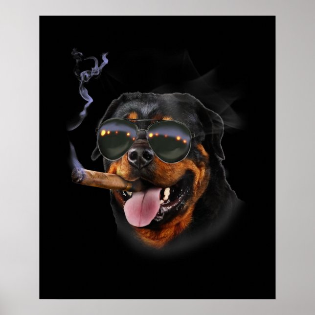 Rottweiler mit Zigarrentrage Aviator-Sunglass Poster (Vorne)