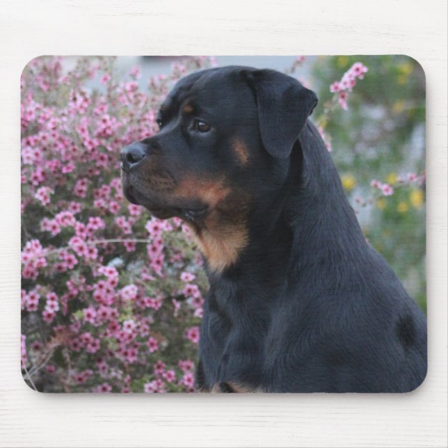 Rottweiler Mousepad (Vorne)
