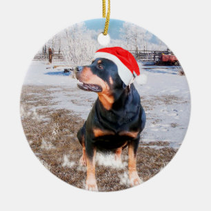 Rottweiler Noël de neige Ornement