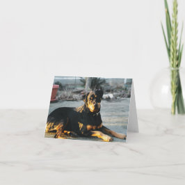 Rottweiler Note Card - leer Karte
