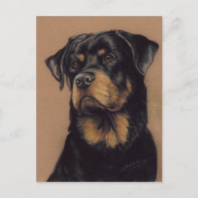 Rottweiler Original Postcard Postkarte (Vorderseite)