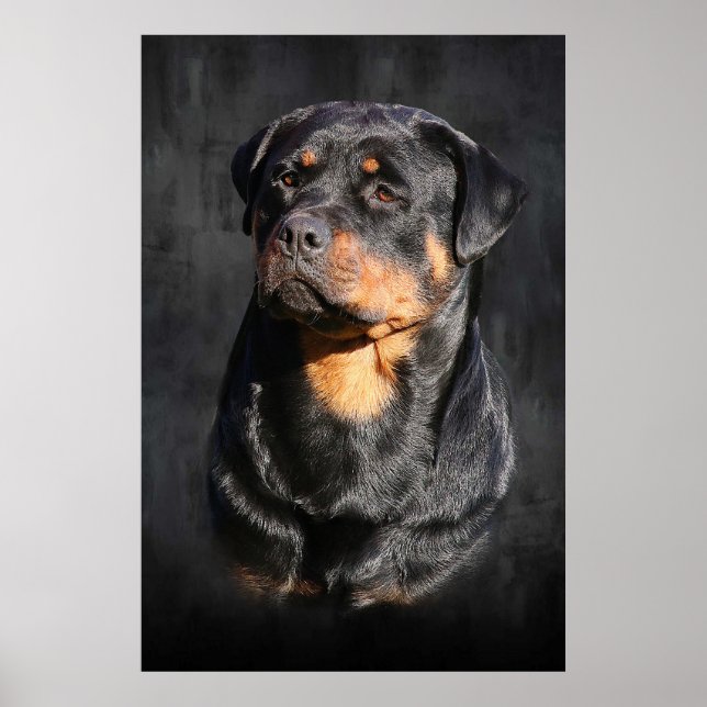 Rottweiler Poster (Vorne)