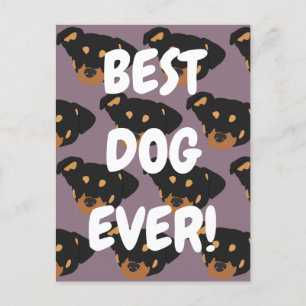 Rottweiler Postkarte