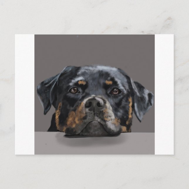 Rottweiler Postkarte (Vorderseite)