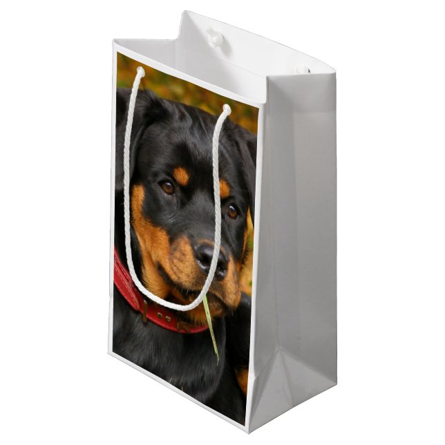 Rottweiler Pup auf dem Boden im Wald Kleine Geschenktüte (Vorderseite Schrägansicht)