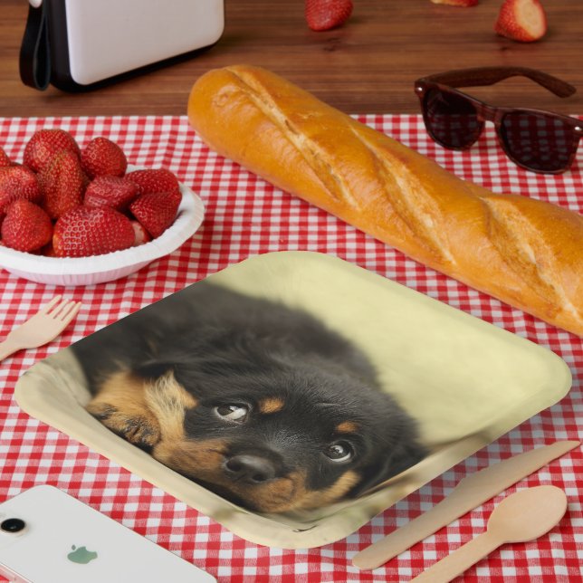 Rottweiler Puppy Pappteller (Picknick)