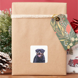 Rottweiler Quadratischer Aufkleber