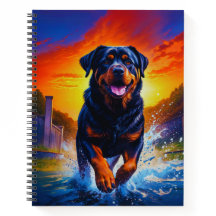 Rottweiler Rottie Dog